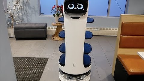 Sushi Island - Bella Bot - Robot Waitress