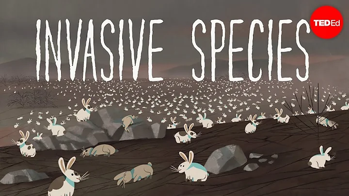image for \<strong>\<strong>The top 10 most threatened ecosystems\</strong>\</strong> on Earth