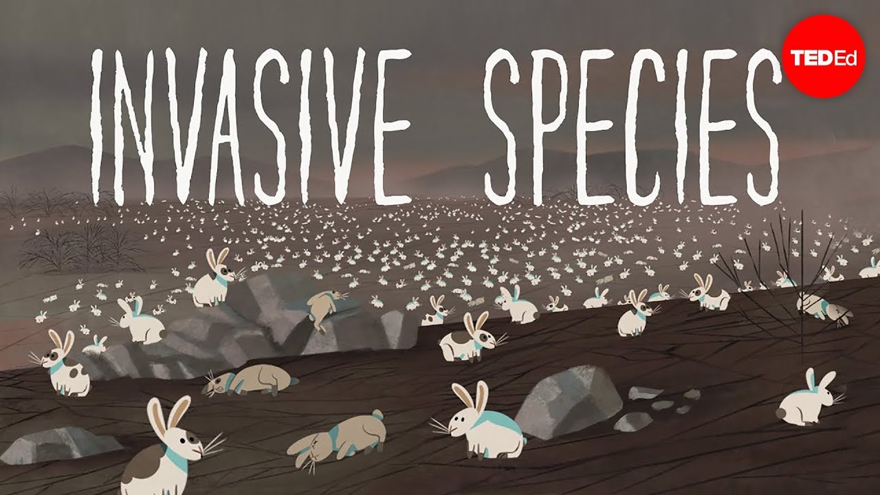 The threat of invasive species - Jennifer Klos - YouTube