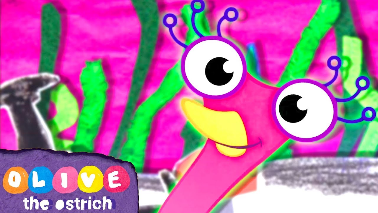 Olive the Ostrich - Submarines & Sea Monsters! | Full Episodes