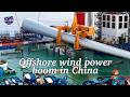 China's offshore wind power boom propels industry-wide growth