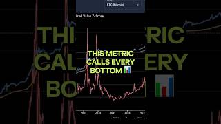 The One On-Chain Metric That Called Every Bitcoin Bottom (Most People Have Never Heard of It)