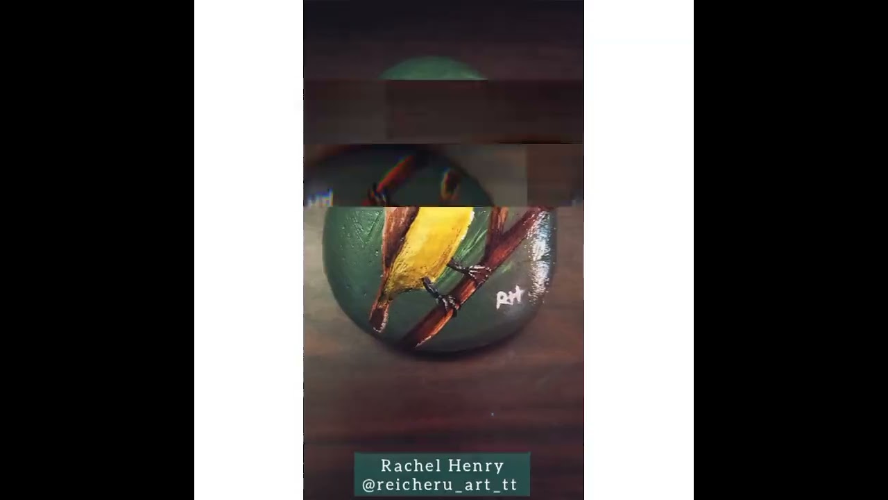 Keskidee painted rock by Rachel Henry