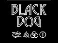 Black Dog - Big Fish