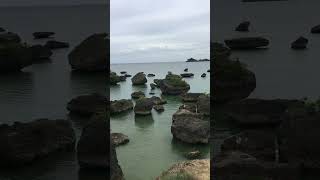 IMG 1161