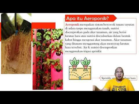 Aeroponik - Penopang Akar