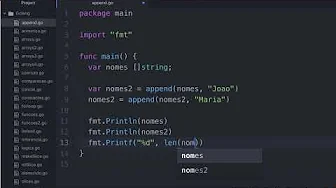 cursos/0010-aprenda-golang: Como Usar append para Adicionar Elementos no Final de um Pedaço na Linguagem Golang