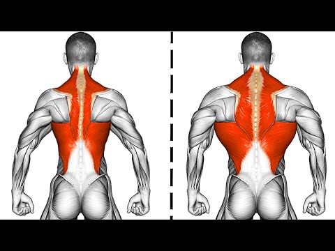 9 Exercises to Build a Wide Back Fast