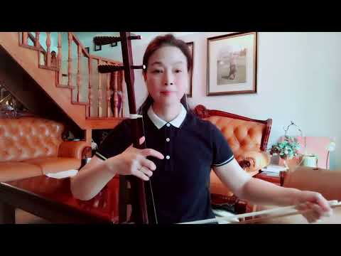 《为了谁》 二胡降B调演奏
