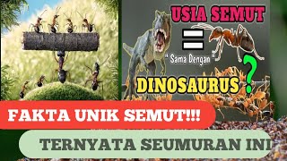 5 FAKTA UNIK SEMUT// YANG BELUM KAMU TAHU// SEMUT SEUMURAN DINOSAURUS