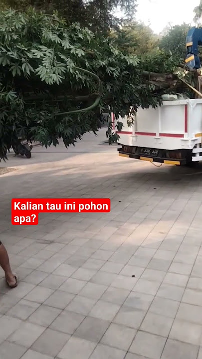 Orang KAYA Mah ‼️Taman RUMAH mewah nya di tanami ini🤔🤔#shorts #taman #rumah #mewah