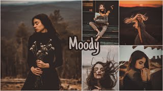 Moody | Lightroom Mobile Presets Free DNG screenshot 5