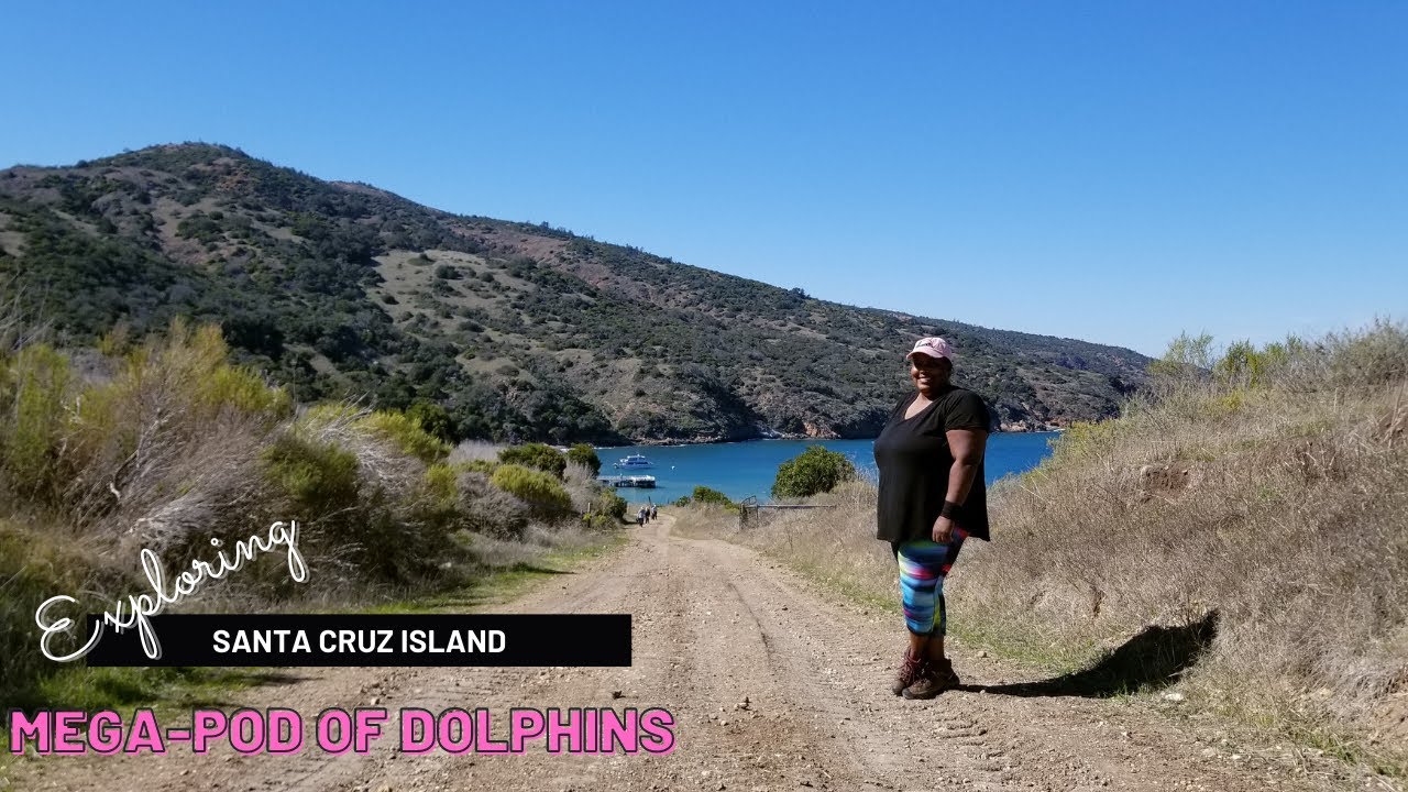 Однодневная поездка на остров Санта-Круз | Национальный парк Квест | 25 000 дельфинов 🐬