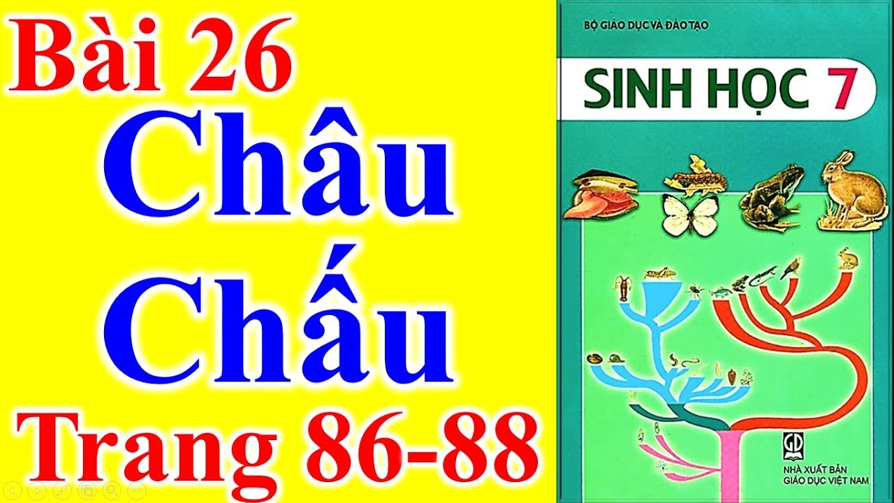 Sinh Học Lớp 7 Bài 26 – Châu Chấu - Trang 86 - 88 - youtube