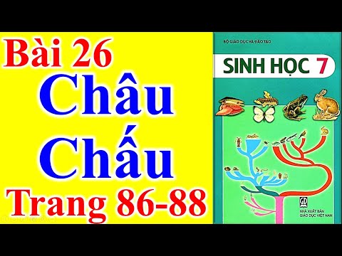 Video Sinh Học Lớp 7 Bài 26 – Châu Chấu - Trang 86 - 88 - youtube