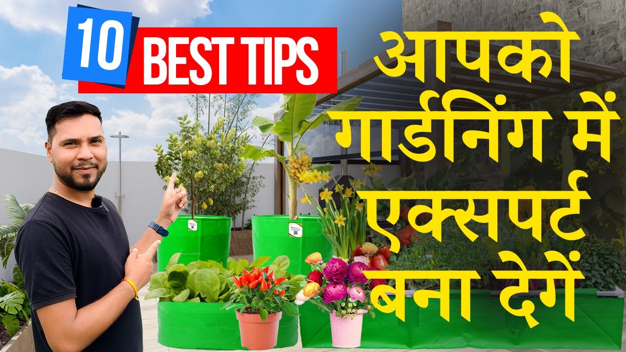 ये 10 टिप्स आपको गार्डनिंग में एक्सपर्ट बना देगें | 10 Tips For Successful Home Gardening in Hindi