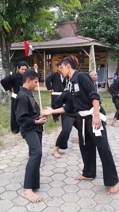 Kerasnya Latihan PSHT Sabuk Putih