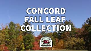 Concord Fall Leaf Collection
