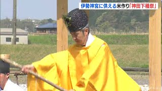 1000年以上続くとされる伝統の儀式　伊勢神宮に供える米作りで豊作を願う｢神田下種祭｣　三重