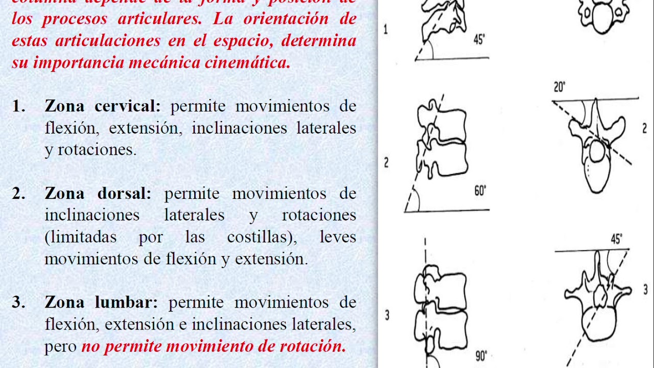 BIomecanica de la columna Vertebral JC Parte 2 2019 YouTube