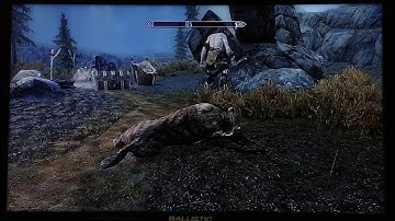 The Elder Scrolls SKYRIM - MISSING IN ACTION #107