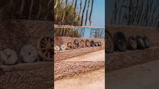 World History-Evolution Of Wheels