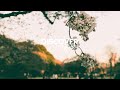 jinsang - gardens