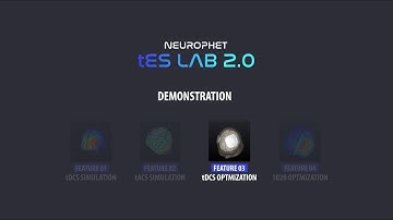[tES LAB] tDCS Optimization Demonstration