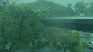 Rainy Day • Relaxing  with Soft Rain Sounds | Sleep, Study, Relax