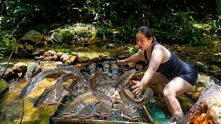 I Can't Believe This Primitive Forest Trap Caught So Many Giant Catfish & Carp Overnight!