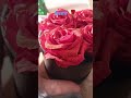 Asmr rose