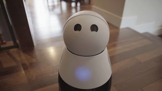 Your New Robot Roommate BFF