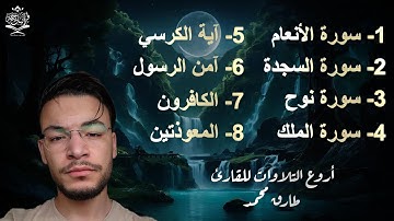 مجوعة مختارة من أجمل تلاوات القارئ طارق محمد سورة الأنعام والسجدة ونوح والملك وآية الكرسي والمعوتين
