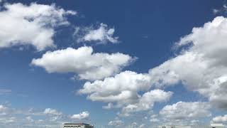 IMG 6935