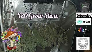 420 Grow Show.  NEW HANGING SYSTEM,  SMOKE CHILL CHATC.