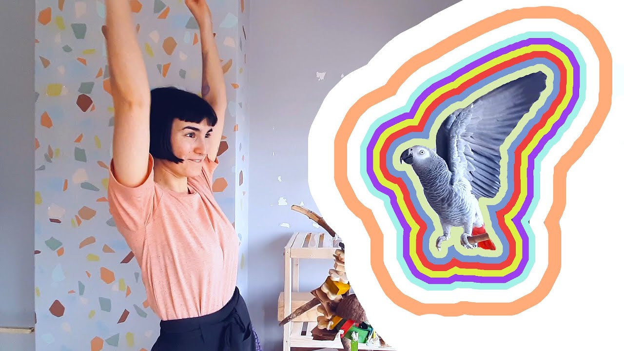 Papağanlarla İlgili Bu Kötü Tavsiyeleri Duymuş Muydunuz?