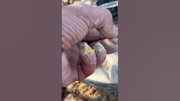 Nice Pipeclay, nugget finder 12 inch GPZ ￼