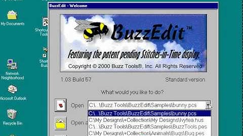 BuzzEdit Software - Launching the Software