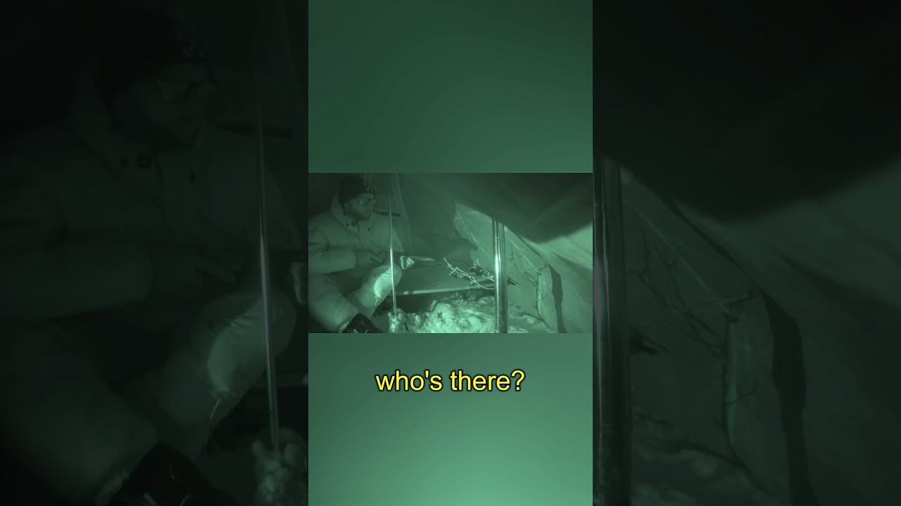 Они были не одни.