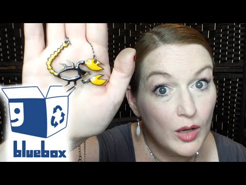 Goodwill Jewelry Blue Box - Salvation Army Mystery Box