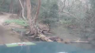 Maniter Tiger 🐅 😍 Story In Jim Corbett Park ❤️ 👏🏿 👌 🙌🏻 😀 😳 ❤️ 👏🏿 👌 🙌🏻 😀 😳