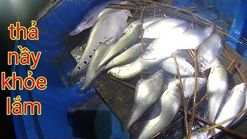 Còn Hai Cần Lác Cờm Cuối Cùng Làm Nên Chuyện/Định Nguyễn Hậu Giang