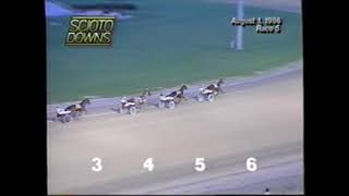 1996 Scioto Downs MERCERLANE LIL SAM Brad Hanners