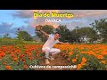 Flor de CEMPASÚCHIL : La flor del DIA de muertos en MÉXICO 🟠 ¿donde ir en Día de muertos en OAXACA?