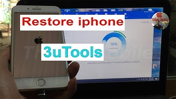 Restore iphone 7 Plus bằng 3Utools - Chạy phần mềm iphone bằng 3Utools - Thang Mobile.