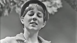 "Last Night I Had the Strangest Dream" sung by Tracy Newman