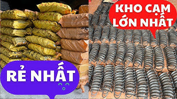 Đại lý cung cấp bẫy kẹp | bẫy cạm kiềng lớn  nhất | bẫy chuột | bẫy chồn | bẫy heo rừng ☎️0327687113