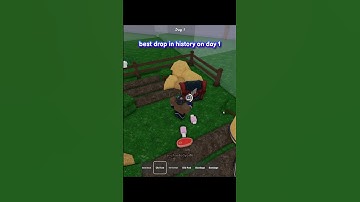 tactical shotgun on day 1 in 99 nights in the forest