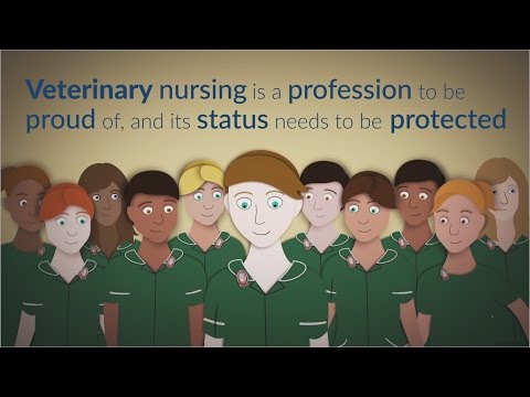 Veterinary nurses - true professionals