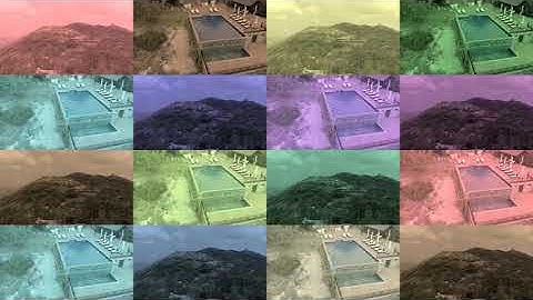 Thốt Nốt Trái Tim-An Giang